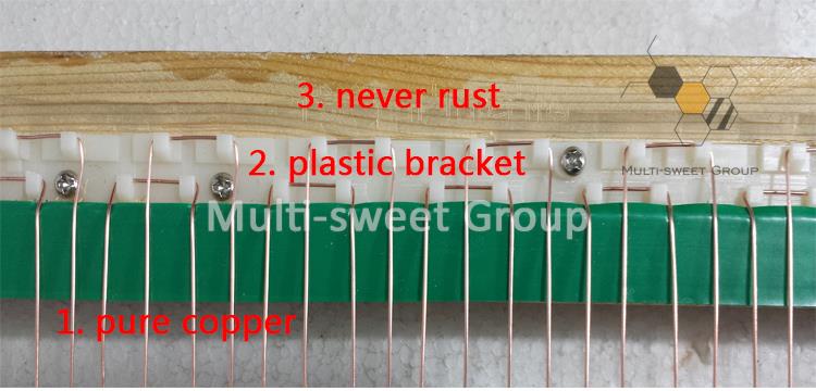 Bee Venom Collection （5）