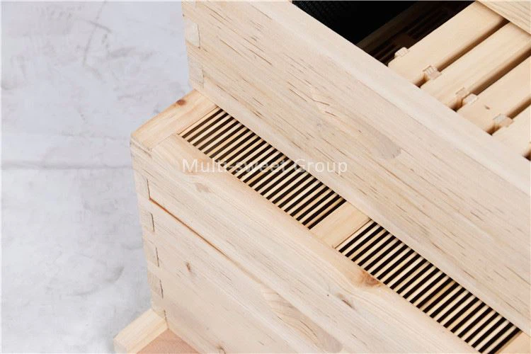 Langstroth Beehive B-7L (9) Langstroth Beehive B-7L (9)