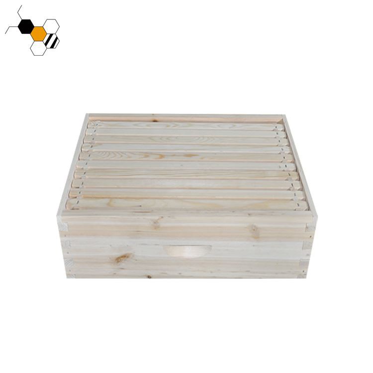 Three Layers Bee Hive With Logo(3) Three Layers Bee Hive With Logo(3)