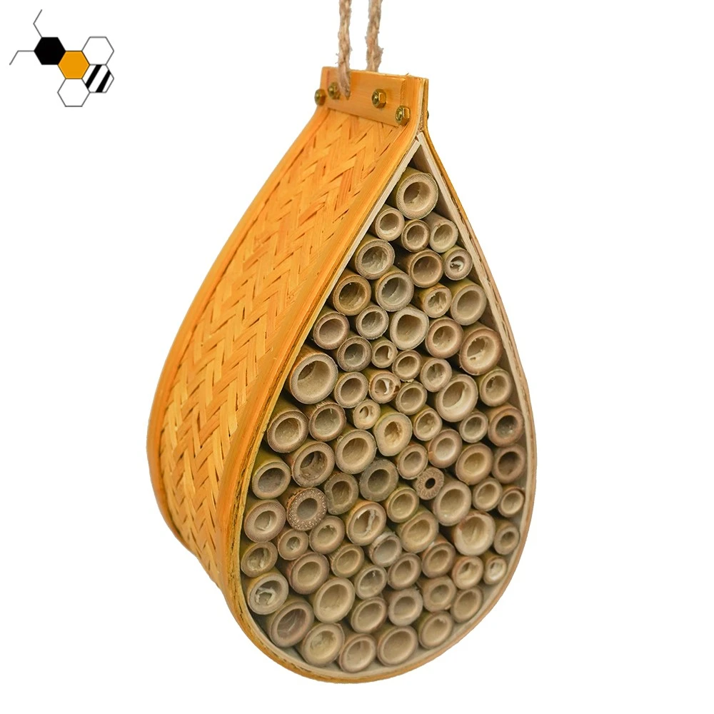 Mason Beehive 4 Mason Beehive 4