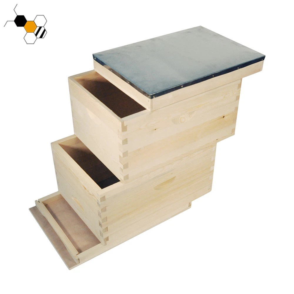 Australian Beehive (1)
