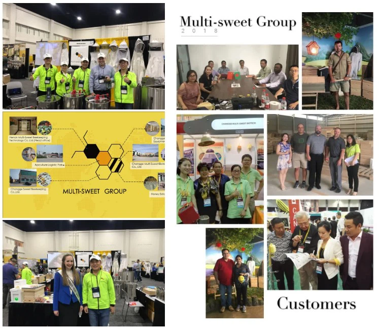 beekeeping beekeeping