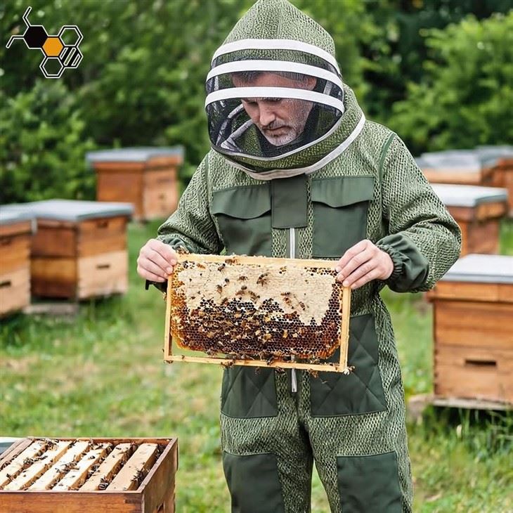 3 Layer Bee Suit best
