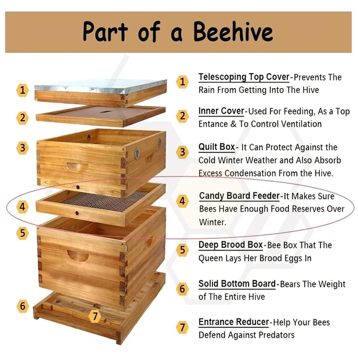 Beehive Candy Board Feeder best