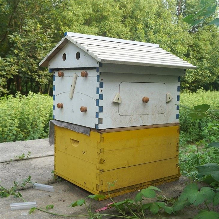 Flow Hive Beehive For Sale