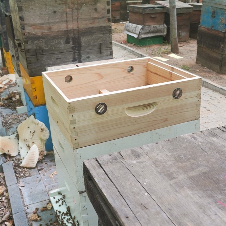 Moisture-proof Bee Box