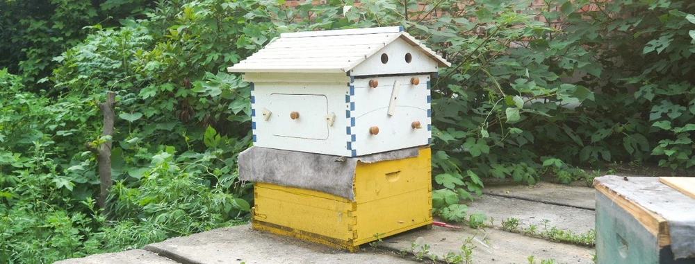 flow hive flow hive