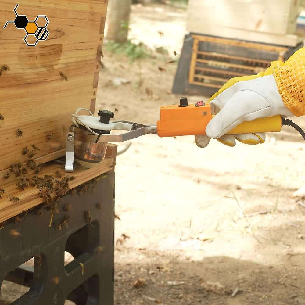 Oxalic Acid Bee Treatment Oxalic Acid Bee Treatment