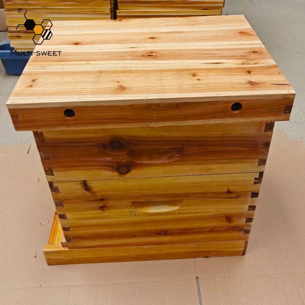 Indian Beehive Indian Beehive