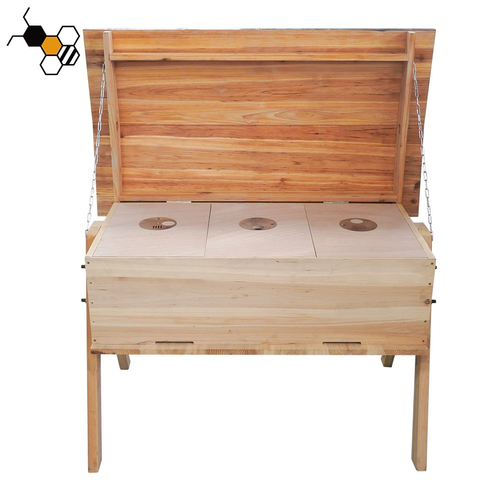 Beehive 19 Beehive 19