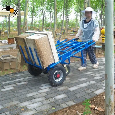 Bee Hive Transport