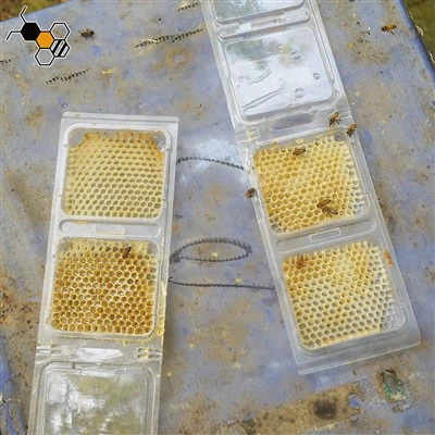 Comb Honey Frames