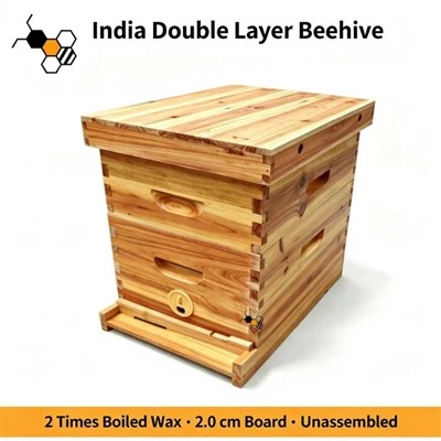 Indian Beehive