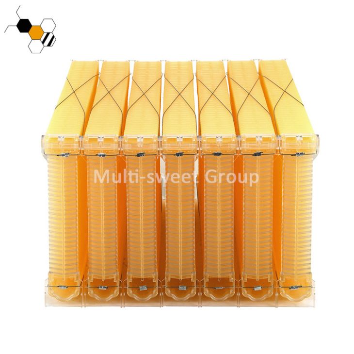 Auto Beehive Frame