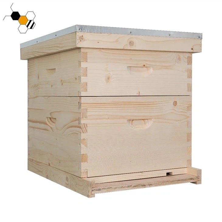 2 Layer Langstroth Beehive