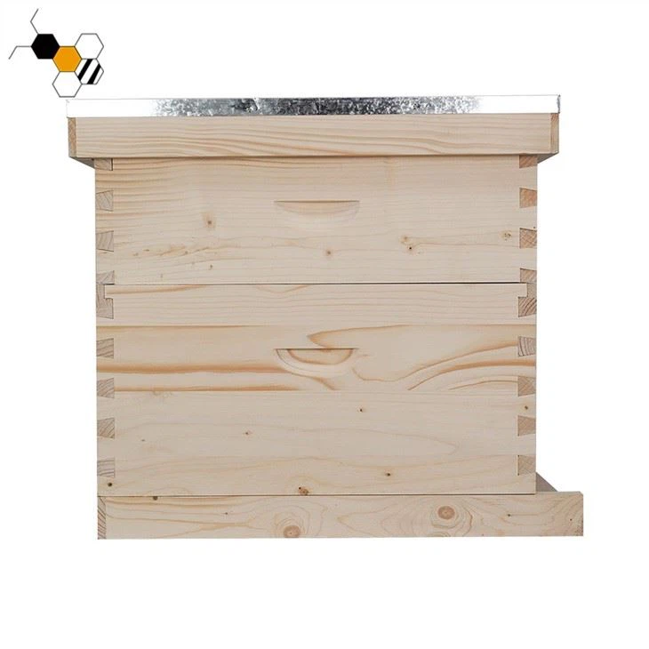 2 Layer Langstroth Beehive