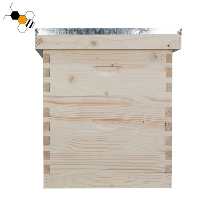 2 Layer Langstroth Beehive