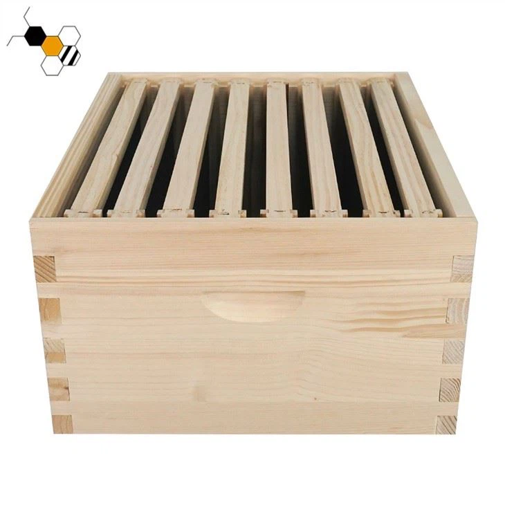 2 Layer Langstroth Beehive