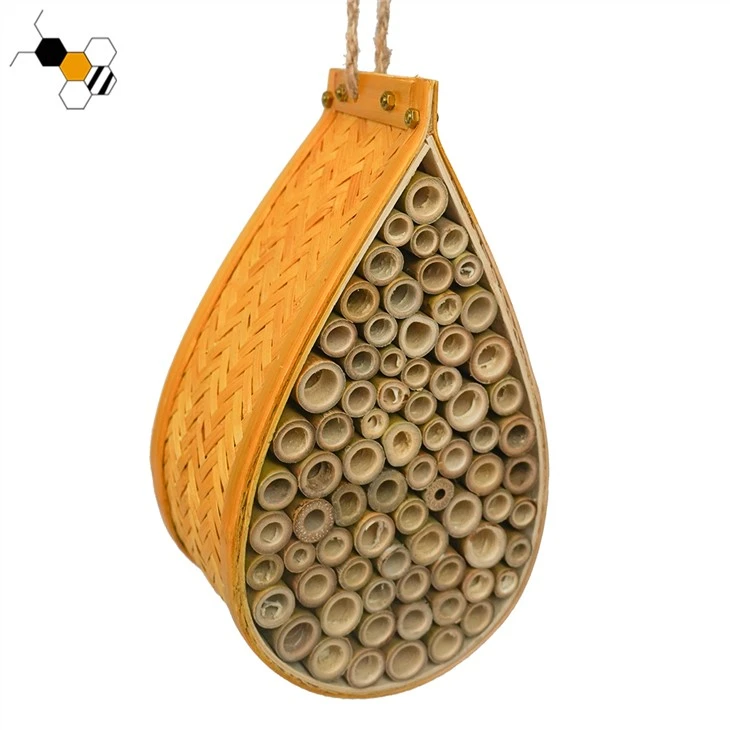 Beekeeping Mason Beehive